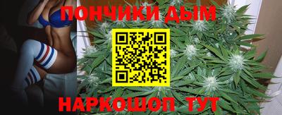 каннабис Новозыбков