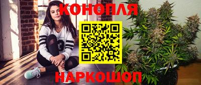 каннабис Новозыбков