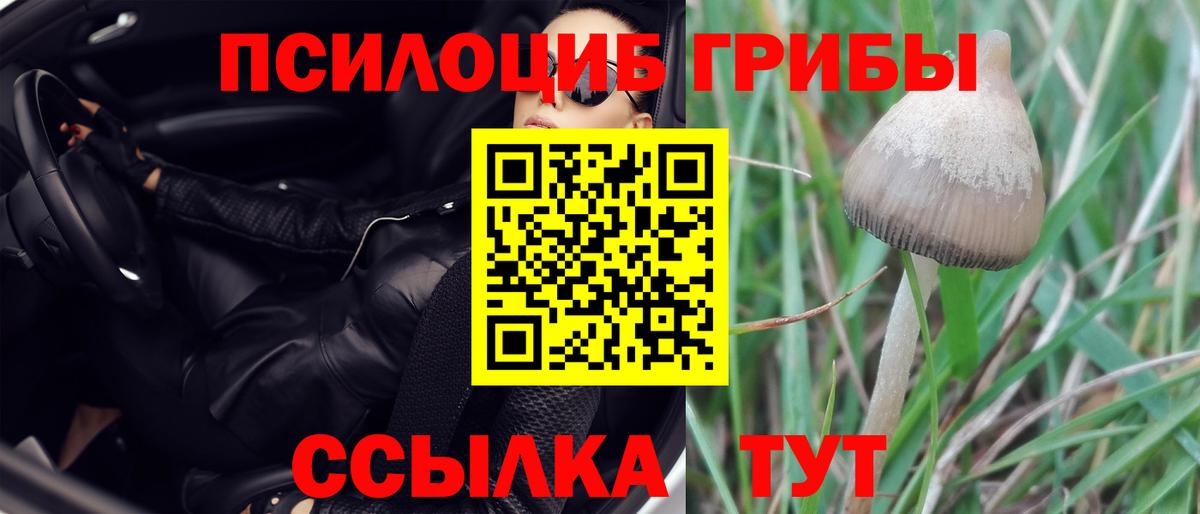 Галлюциногенные грибы Psilocybe  Вход с VPN  Псилоцибиновые грибы MAGIC MUSHROOMS  Ялуторовск 